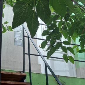 Verdes montañas